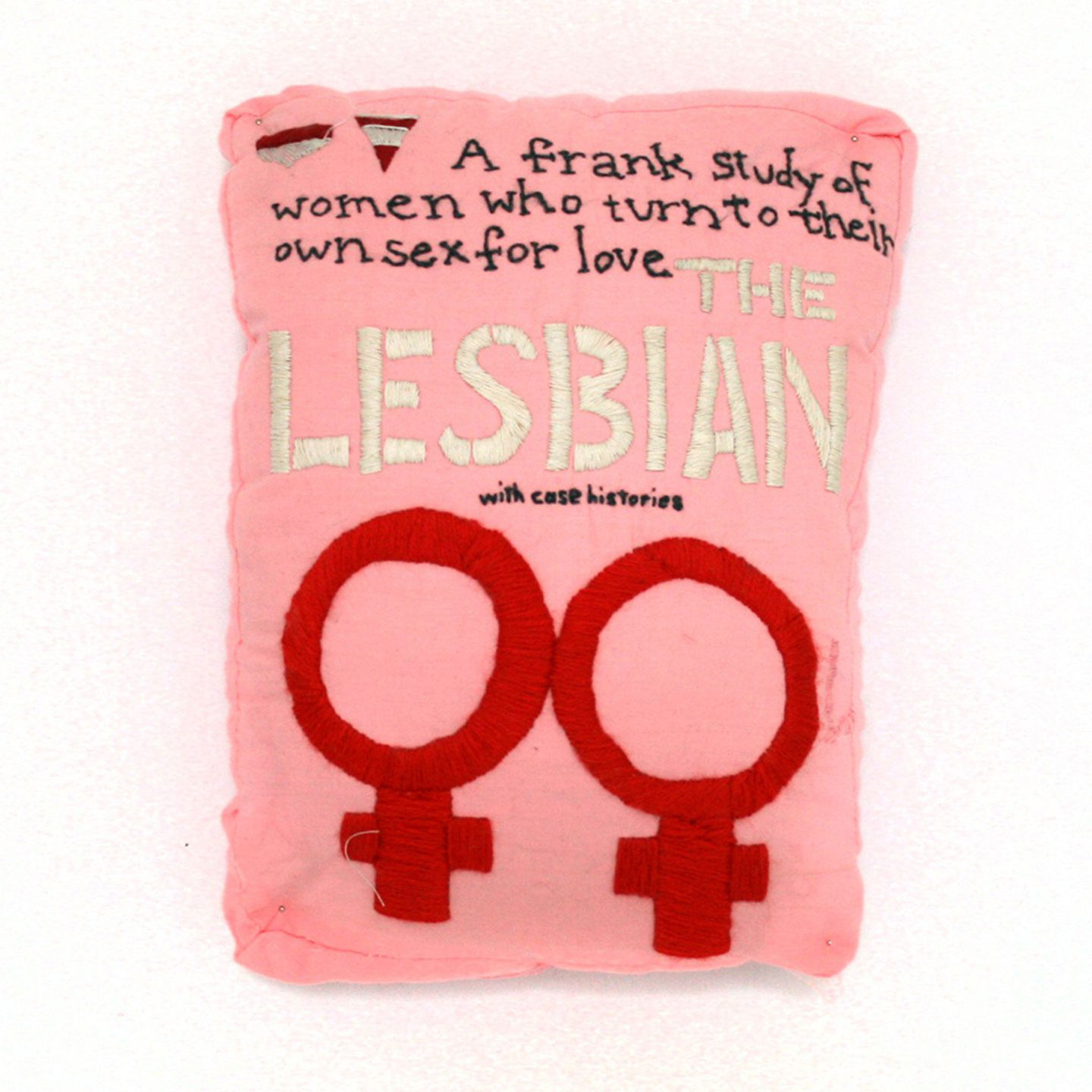 Queer lit pillows